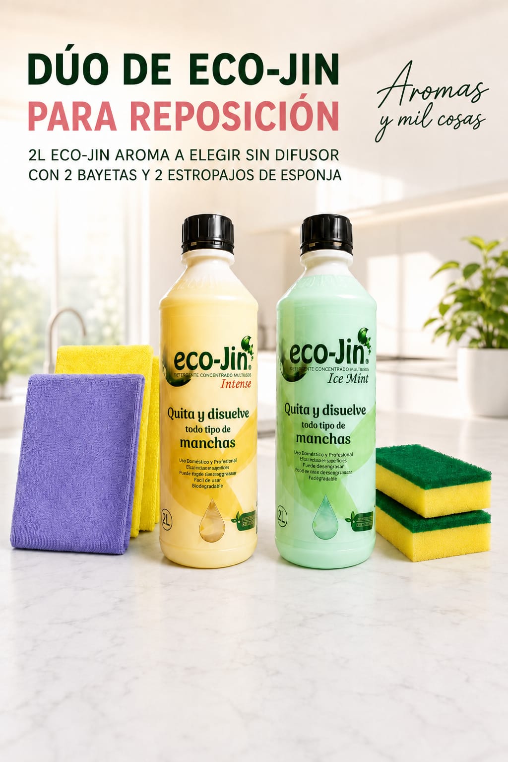 Dúo Eco Jin reposición con 2 litros, bayetas y estropajos